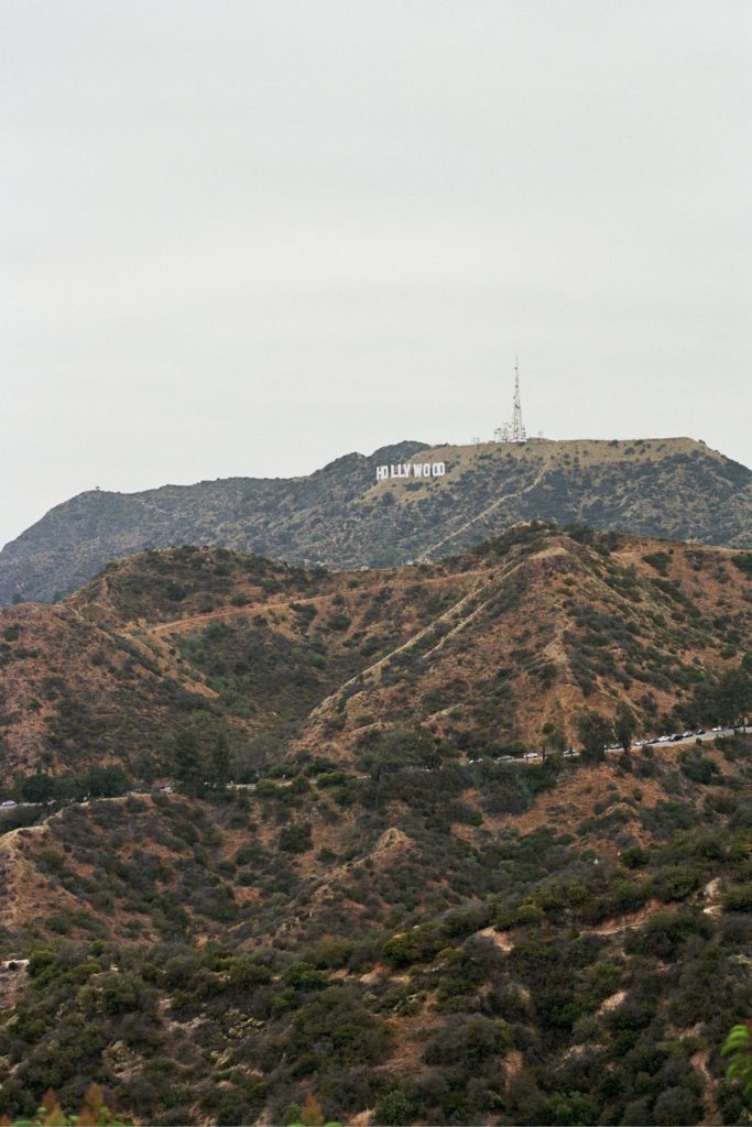 #hollywoodsign