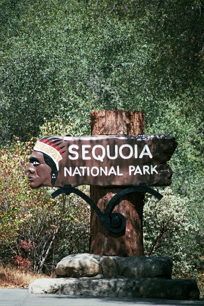 #SequoiaNationalPark
